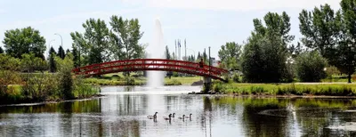 Stony Plain Rotary Park Bridge